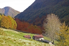 I colori della valle Uccea (Danilo Clemente)