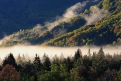 Nebbia in val Resia (Daniele Buttolo)