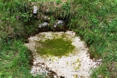 Sorgente acqua