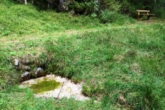Sorgente acqua