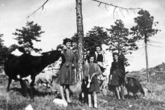 Ragazze al pascolo Plagna 1950 (Archivio Comunale)