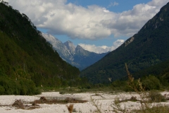 Babe da inizio della valle (Luciano Micell)