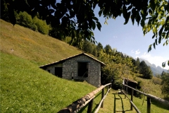 Stavolo in località Lom (Marco Di Lenardo)