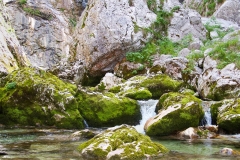 Torrente Barman (Danile Buttolo)