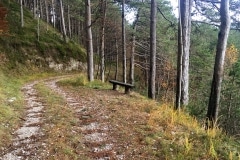 Pinete monte Plagna
