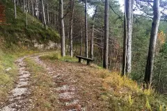 Pinete monte Plagna