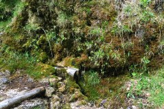 Sorgente del Viandante