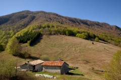 Stavoli di Provalo (Marco Di Lenardo)