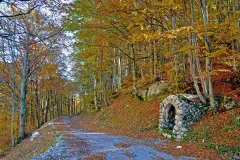 Vecchia sorgente d'acqua